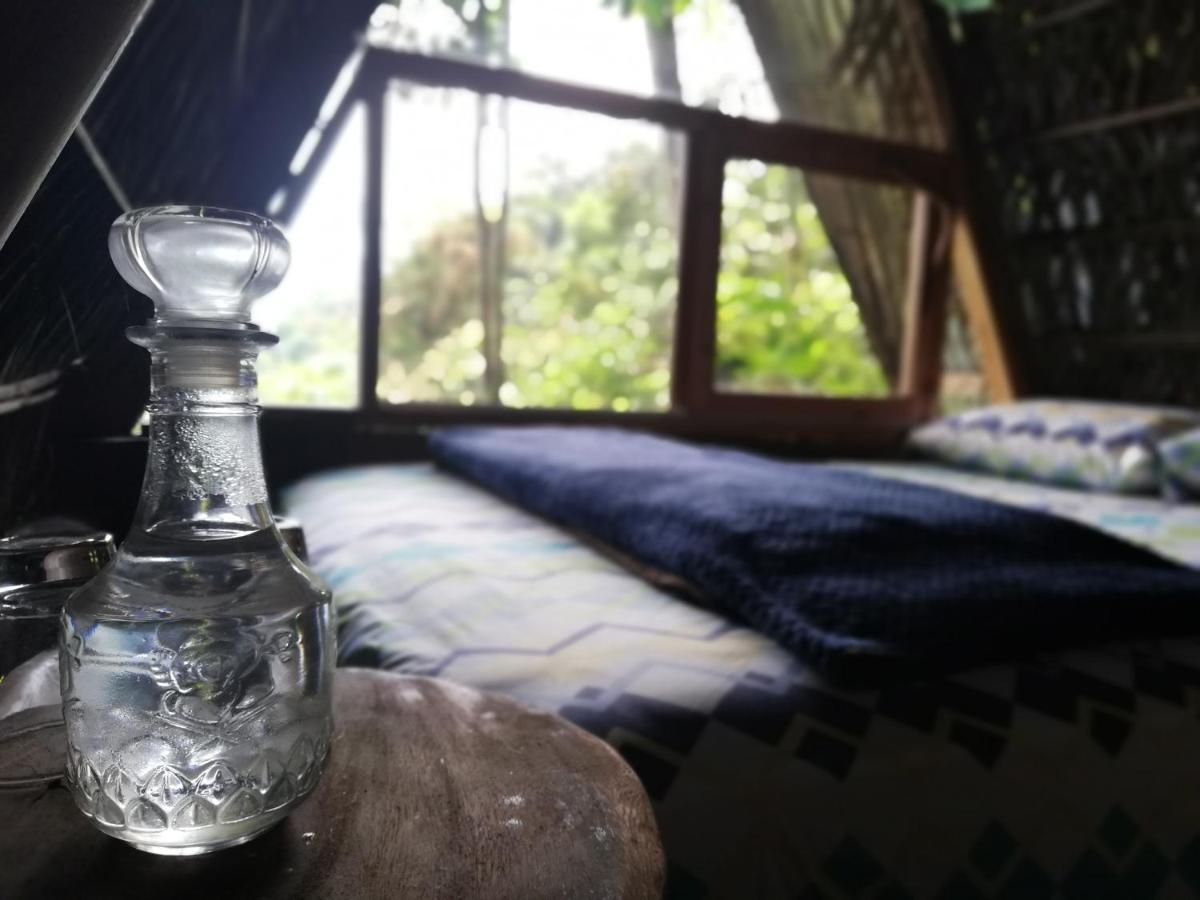 فندق Jungle Roots تينا المظهر الخارجي الصورة