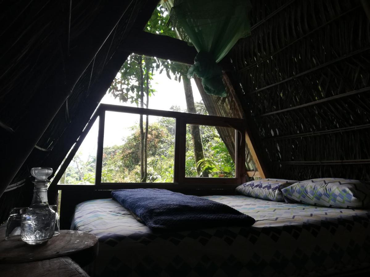 فندق Jungle Roots تينا المظهر الخارجي الصورة